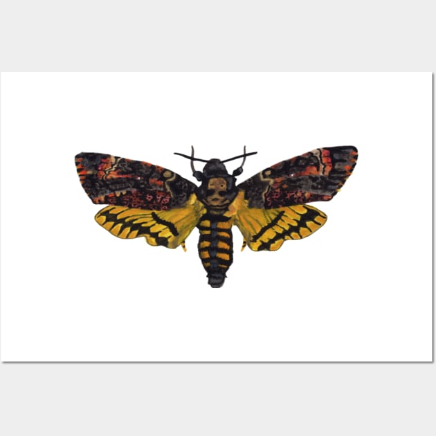 Death's Head Moth Wall Art by cheyroseart